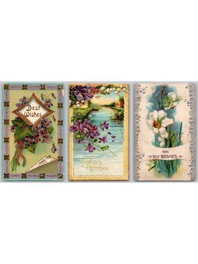 Lot 3 Antique Best Wishes Postcards Violets Daffodils Gold Gilt Embossed 1908-10